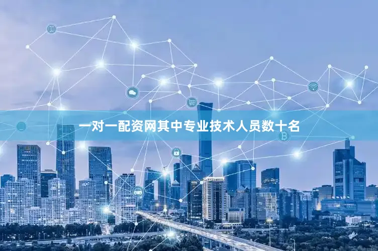 一对一配资网其中专业技术人员数十名