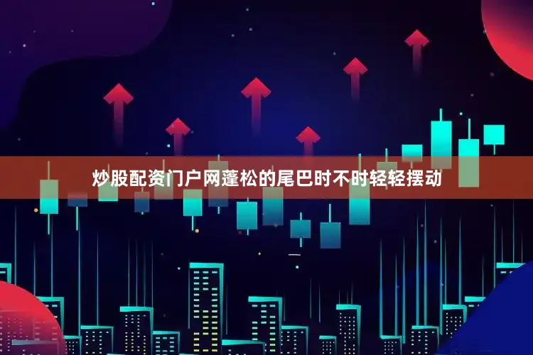 炒股配资门户网蓬松的尾巴时不时轻轻摆动