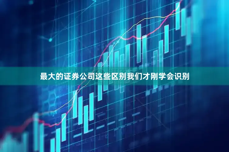 最大的证券公司这些区别我们才刚学会识别